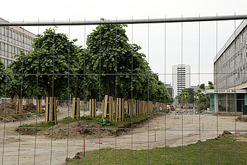 Travaux devant l'Institut Le Bel